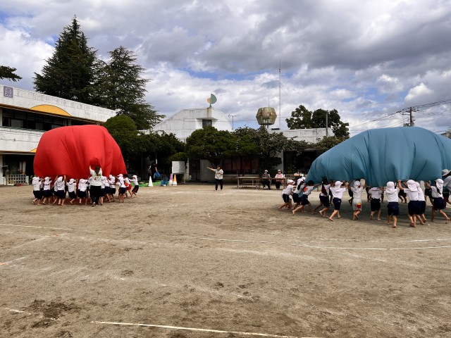 IMG_7278[1]